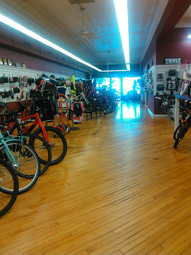 Bicycle Store «Pedal Power», reviews and photos, 359 Main St, Middletown, CT 06457, USA