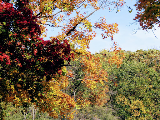 Nature Preserve «River Trail Nature Center», reviews and photos, 3120 Milwaukee Ave, Northbrook, IL 60062, USA