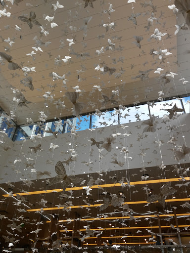 Clothing Store «Neiman Marcus», reviews and photos, 11111 NE 8th St, Bellevue, WA 98004, USA