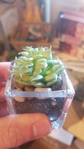 American Restaurant «Cracker Barrel Old Country Store», reviews and photos, 80 Alamo Dr, London, KY 40741, USA