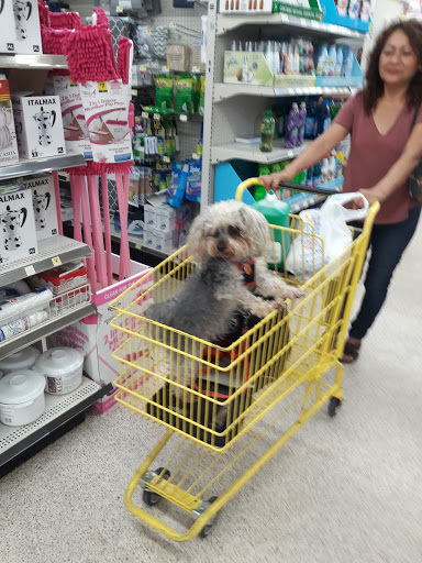 Discount Store «Dollar General», reviews and photos, 1620 E Hallandale Beach Blvd, Hallandale Beach, FL 33009, USA