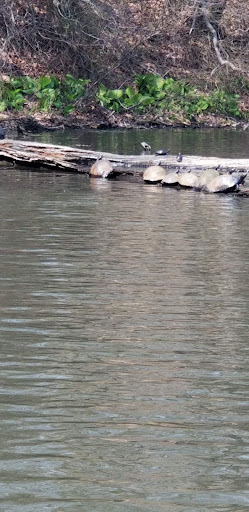 Park «Perrineville Lake Park», reviews and photos, 143 Baird Rd, Millstone, NJ 07726, USA