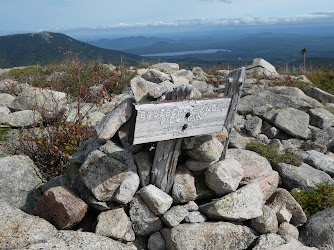 Blueberry Knoll