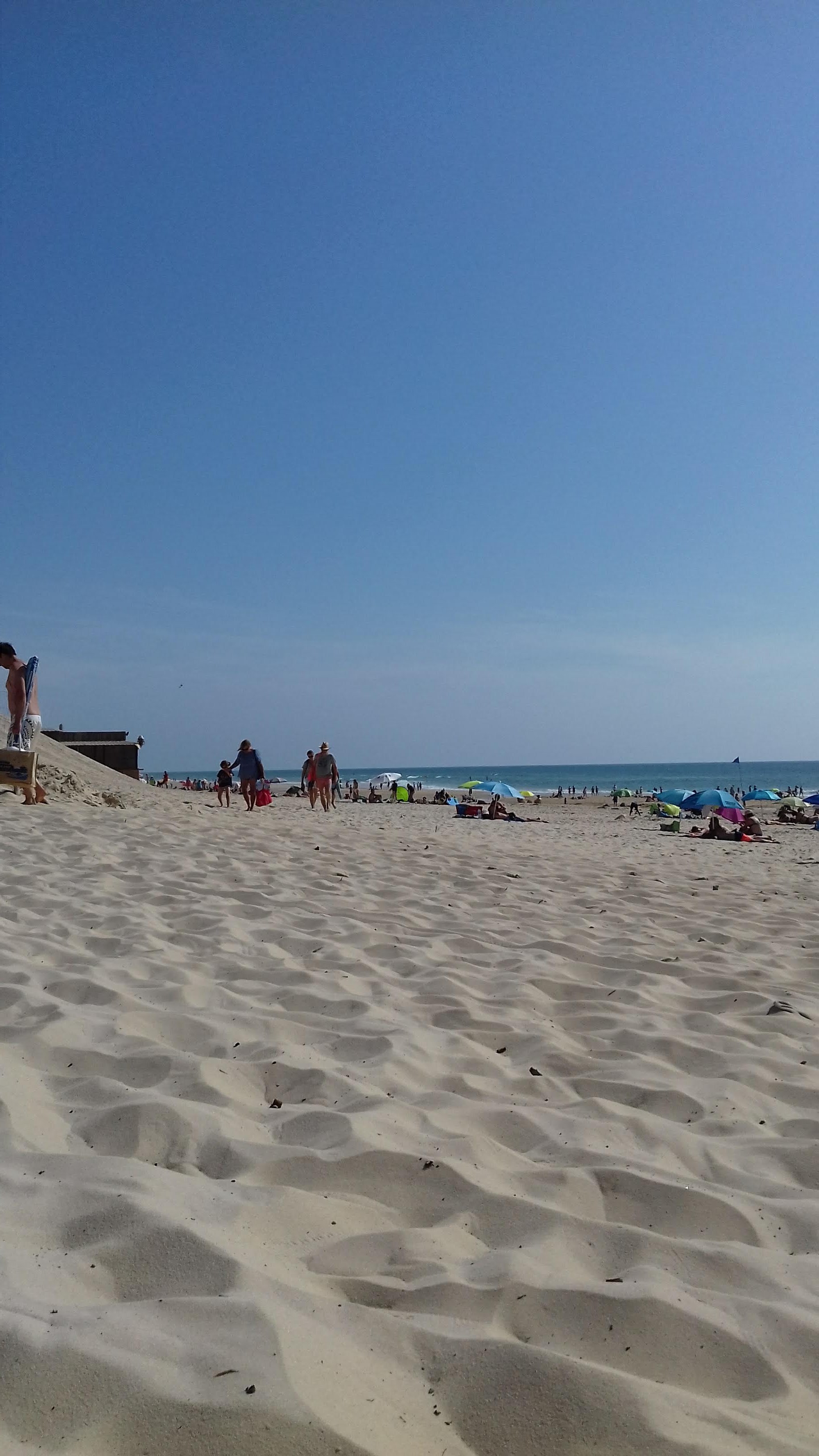 Photo n° 2 de l'avis de cannibalex1. fait le 19/07/2019 à 05:31