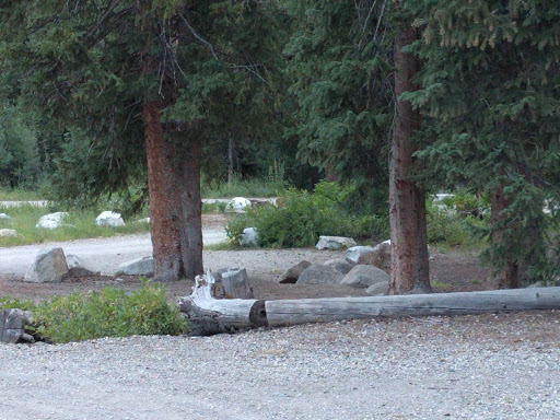 Resort «Solitude Mountain Resort», reviews and photos, 12000 Big Cottonwood Canyon Rd, Solitude, UT 84121, USA