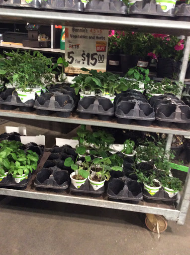 Home Improvement Store «The Home Depot», reviews and photos, 6140 Hamner Ave, Mira Loma, CA 91752, USA