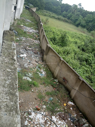 Google Maps image 21