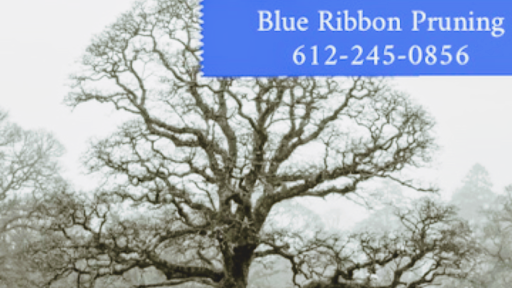 Blue Ribbon Pruning