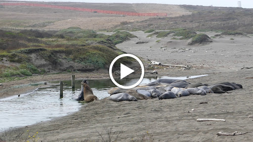 Supermarket «Stater Bros. Markets», reviews and photos, 8770 Base Line Rd, Alta Loma, CA 91701, USA