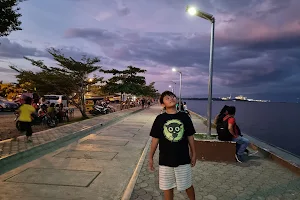 Panabo City Seawall and Park image