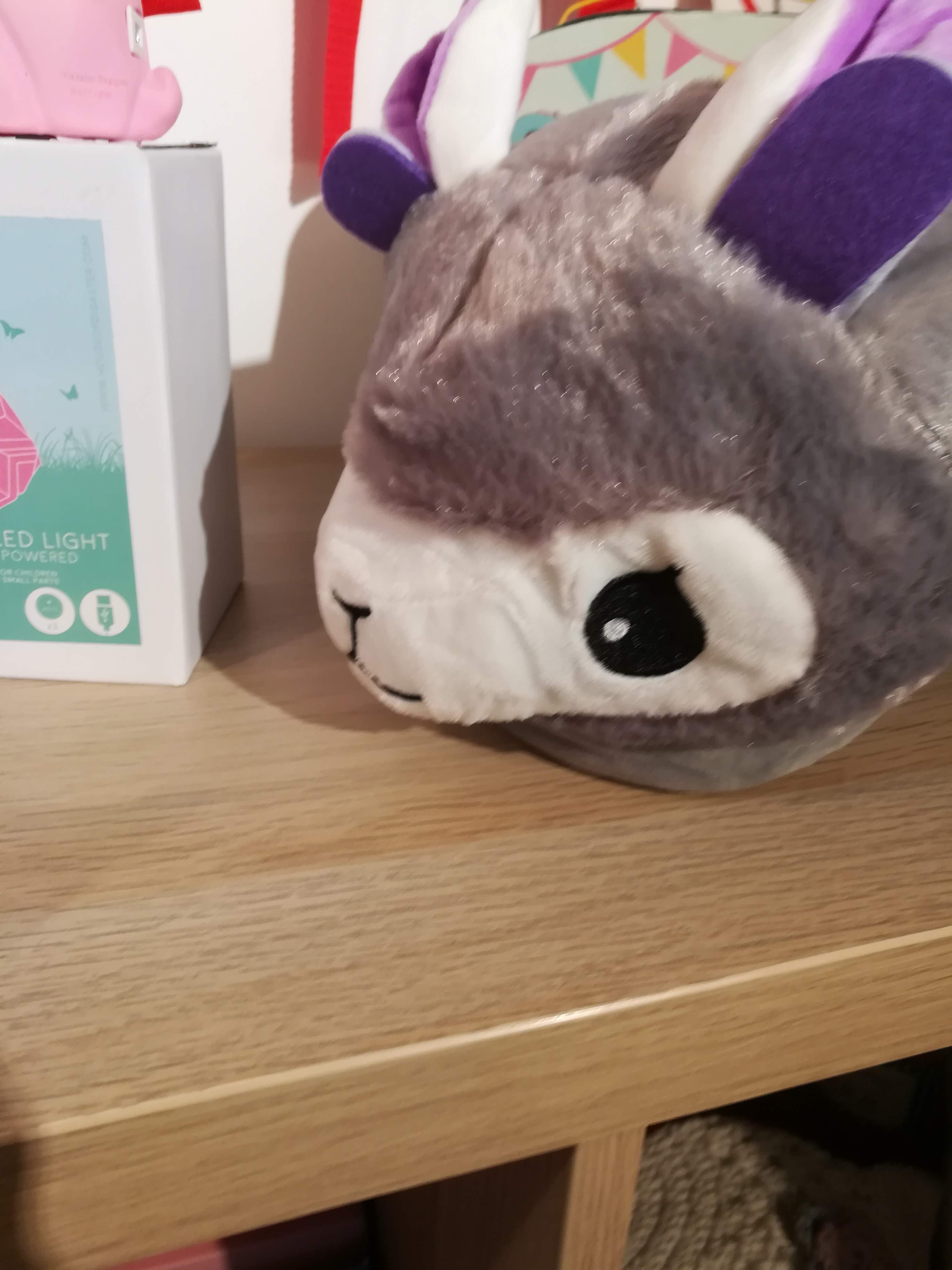 Photo n° 13 de l'avis de maïa.R fait le 28/09/2019 à 19:25