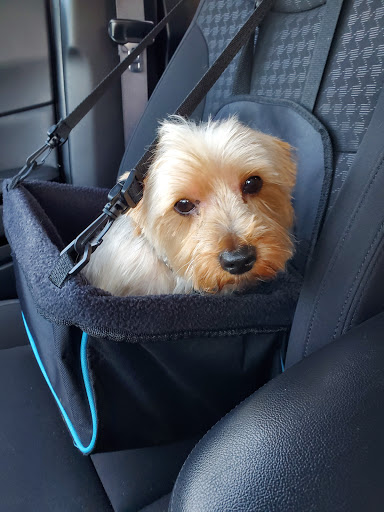 Pet Supply Store «Petco Animal Supplies», reviews and photos, 8164 Mall Pkwy, Lithonia, GA 30038, USA