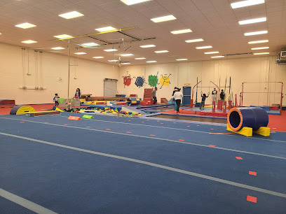 Wendy,s Gymnastics & Fitness for Children - 2460 Wood Ave, Columbus, OH 43221