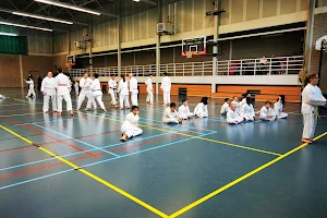 Club Shoto Karate Do Grâce-Hollogne image