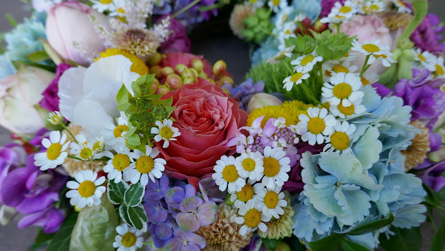 Rezensionen über Gnädinger ist grün&bunt in Freiburg - Blumengeschäft