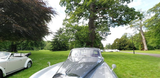 Comments and reviews of Ecosse Classic Wedding Cars