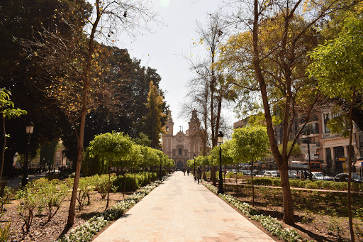 Jardines botánicos Murcia