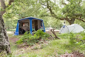 Matley Wood Campsite image