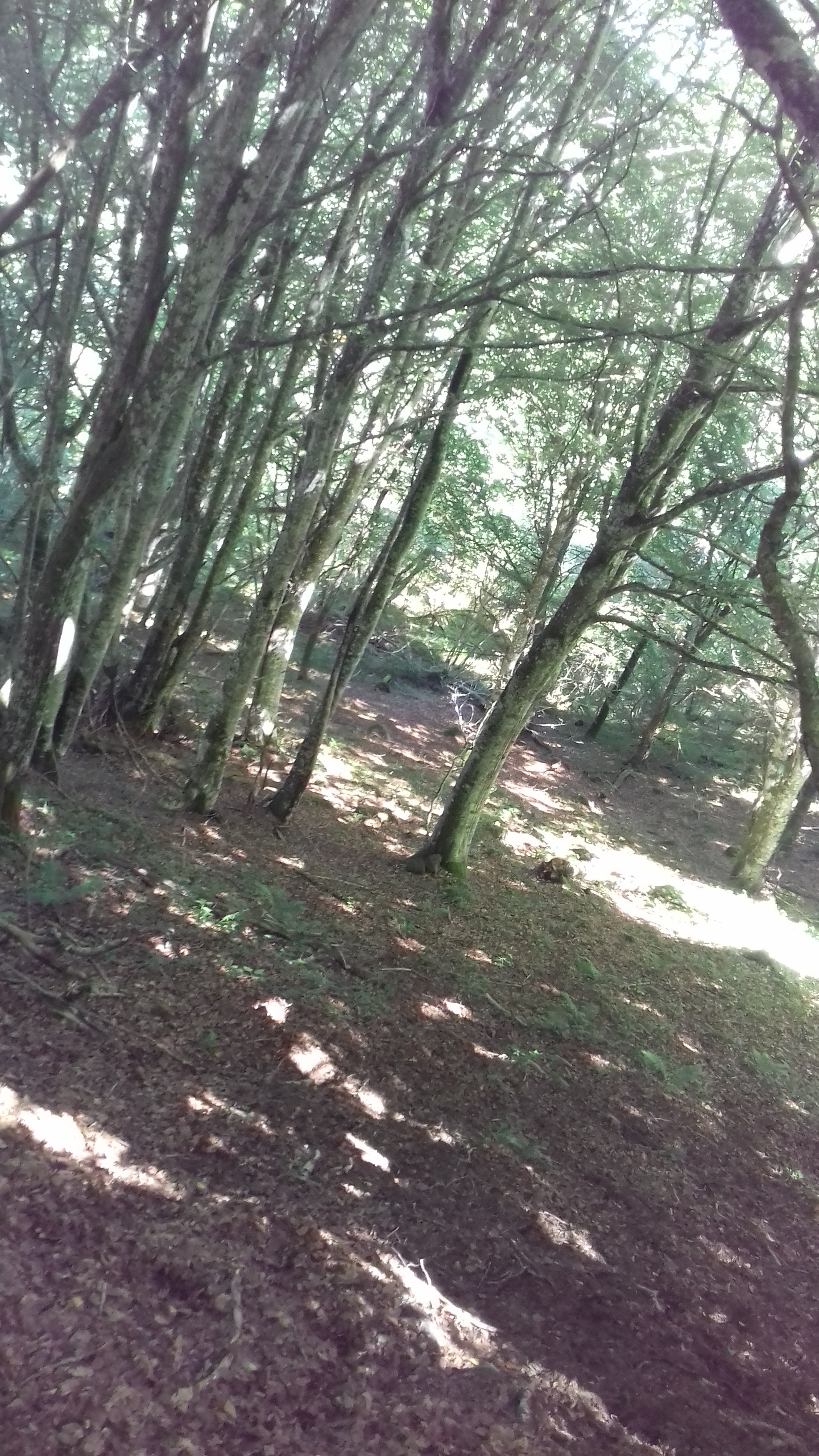 Photo n° 22 de l'avis de Caroline.H fait le 23/08/2017 à 14:11
