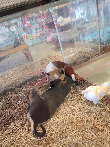 Pet Supply Store «Pet Source», reviews and photos, 1927 Spartanburg Hwy, Hendersonville, NC 28792, USA