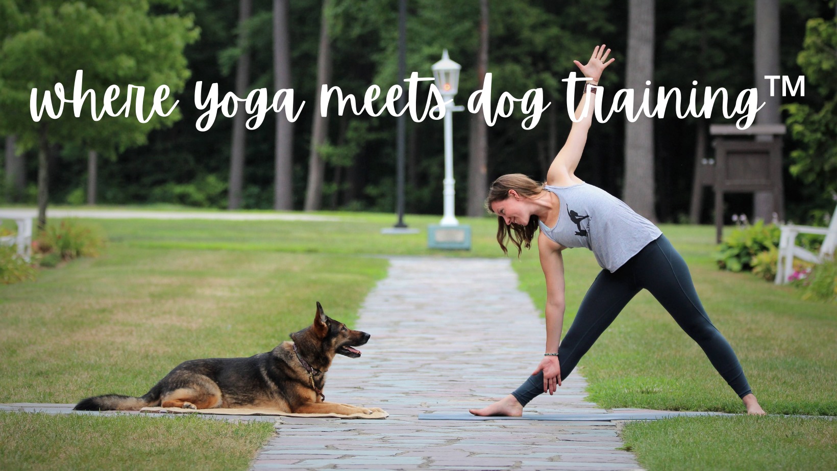 TAO DOG® Yoga, Dog Training & Adventures
