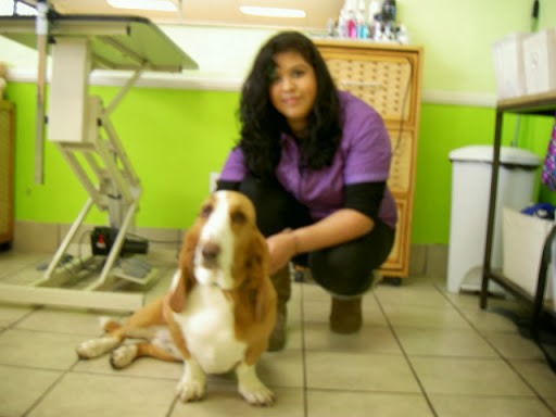 Pet Groomer «Pupazzo Dog Grooming Xprss & Pet Supplies», reviews and photos, 2080 E Pacific Coast Hwy, Long Beach, CA 90804, USA
