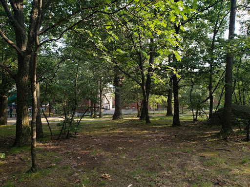 Park «Dorchester Park», reviews and photos, 2180 Dorchester Ave, Dorchester, MA 02124, USA