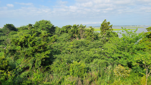  «Ocean City Welcome Center», reviews and photos, 300 W 9th St, Ocean City, NJ 08226, USA