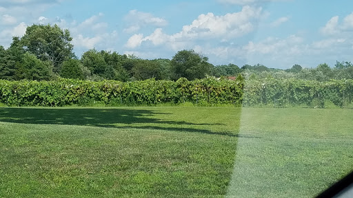 Winery «Valenzano Family Winery», reviews and photos, 1090 U.S. 206, Shamong, NJ 08088, USA