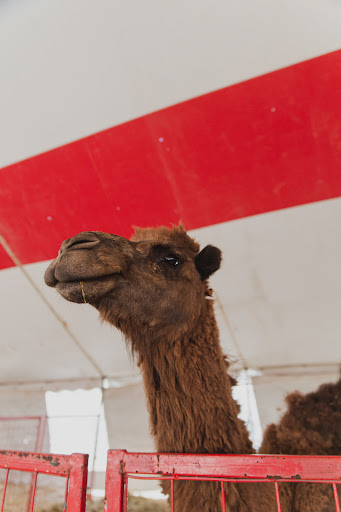 Produce Market «Didier Farms», reviews and photos, 16678 Aptakisic Rd, Lincolnshire, IL 60069, USA