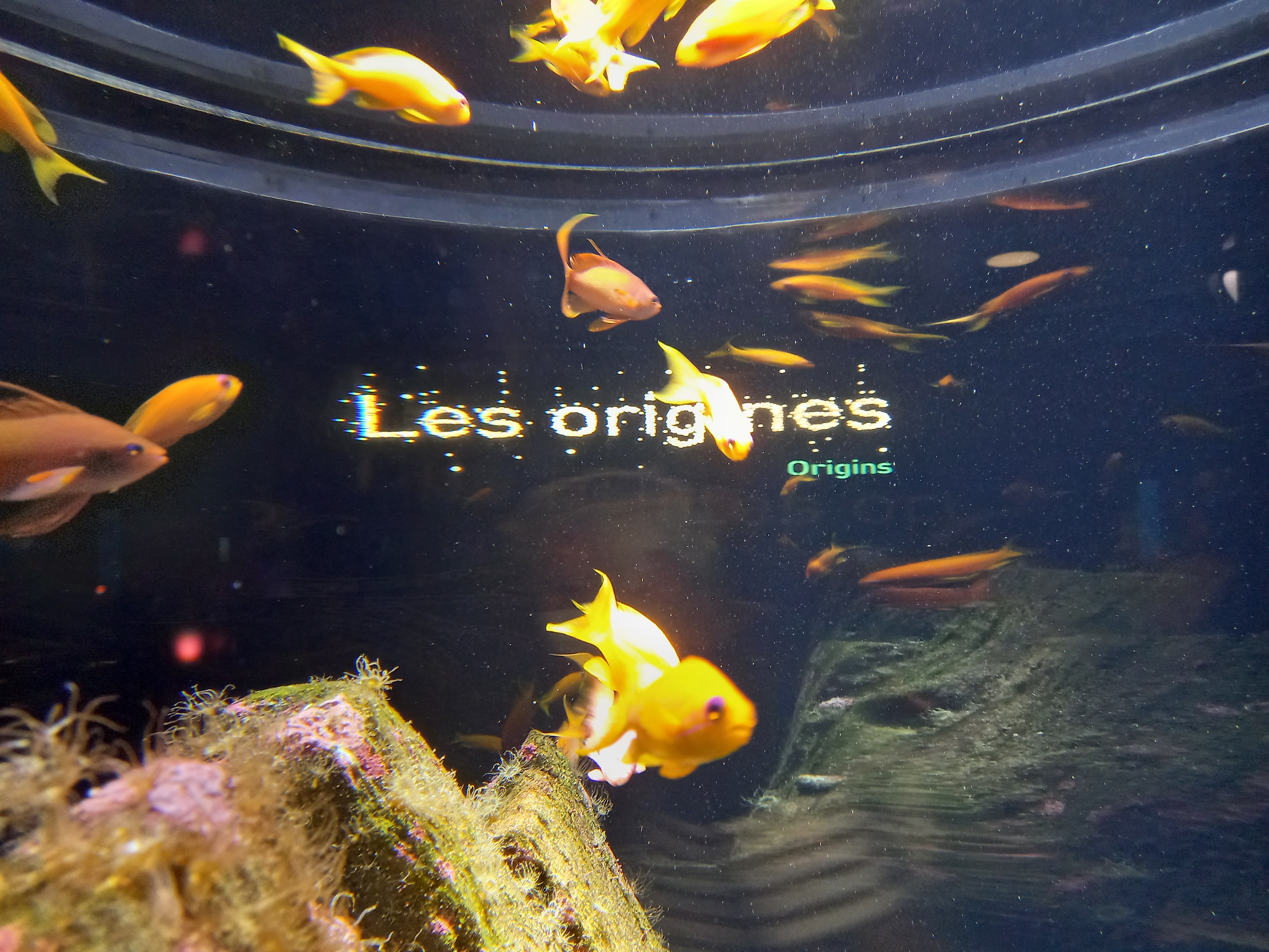 Photo n° 17 de l'avis de Thierry.a fait le 15/08/2022 à 14:03