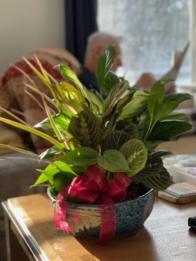 Florist «Sweet Meadows Flower Shop», reviews and photos, 155 Portland Ave, Dover, NH 03820, USA