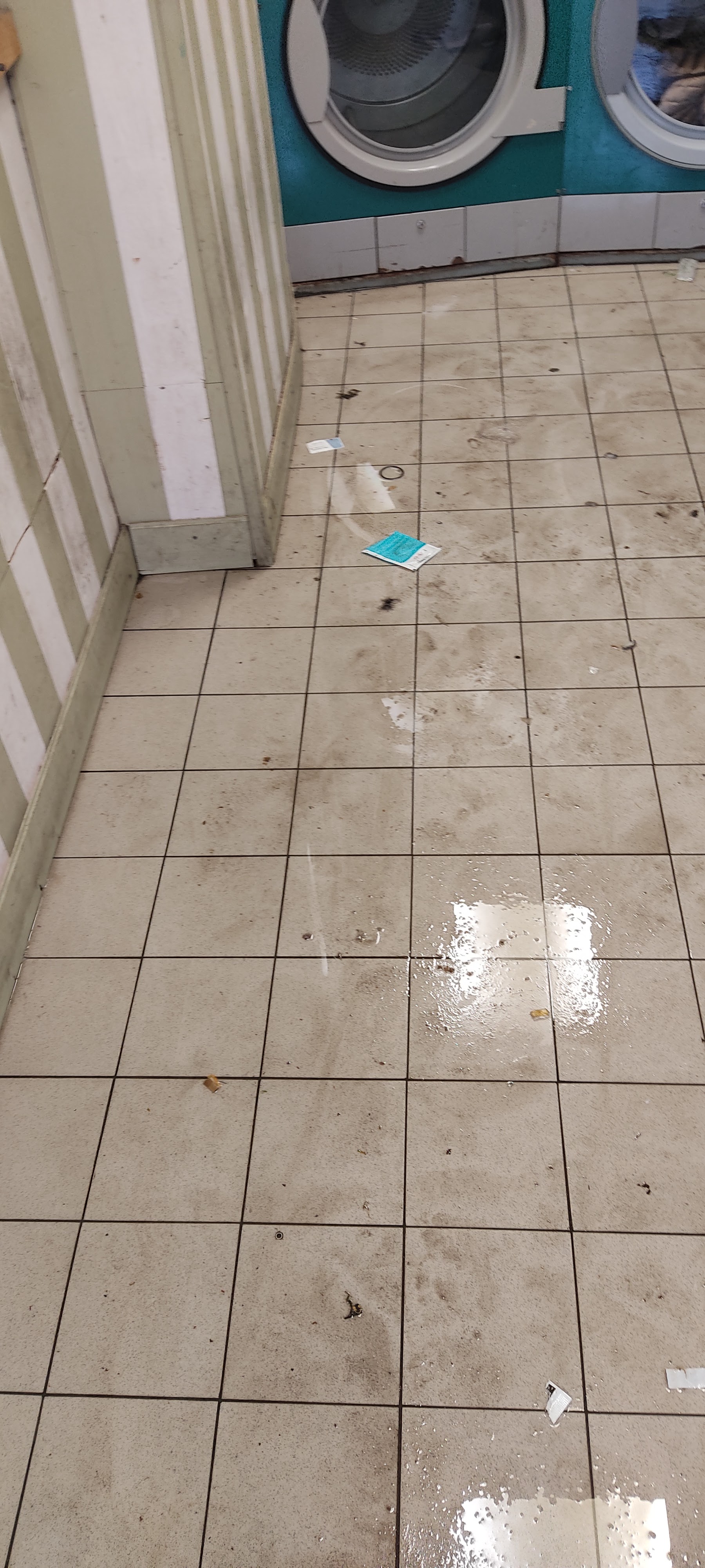 Photo n° 4 de l'avis de Loran.u fait le 17/12/2023 à 13:53