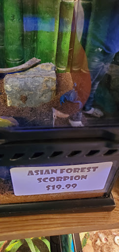 Pet Store «Fish & More Pet Store», reviews and photos, 310 E Main St #8, Sylva, NC 28779, USA