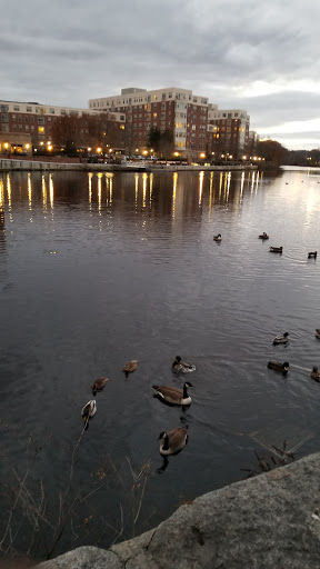 Museum «Charles River Museum of Industry & Innovation», reviews and photos, 154 Moody St, Waltham, MA 02453, USA