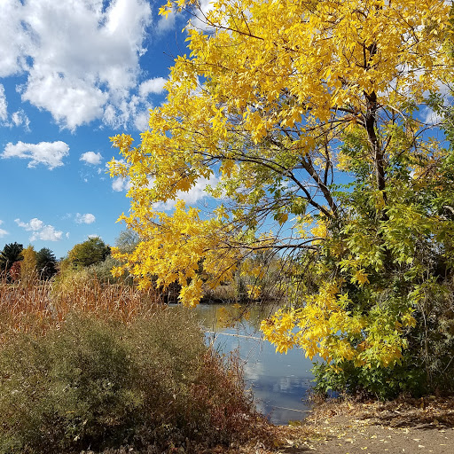 Park «Harvey Park», reviews and photos, 2120 S Tennyson Way, Denver, CO