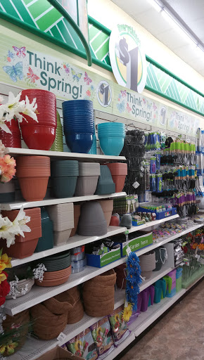 Dollar Store «Dollar Tree», reviews and photos, 12030 NE 85th St, Kirkland, WA 98033, USA