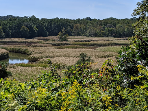 Golf Course «Shark River Golf Course», reviews and photos, 320 Old Corlies Ave, Neptune City, NJ 07753, USA