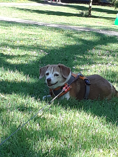 Park «Volunteer Park», reviews and photos, 1247 15th Ave E, Seattle, WA 98112, USA