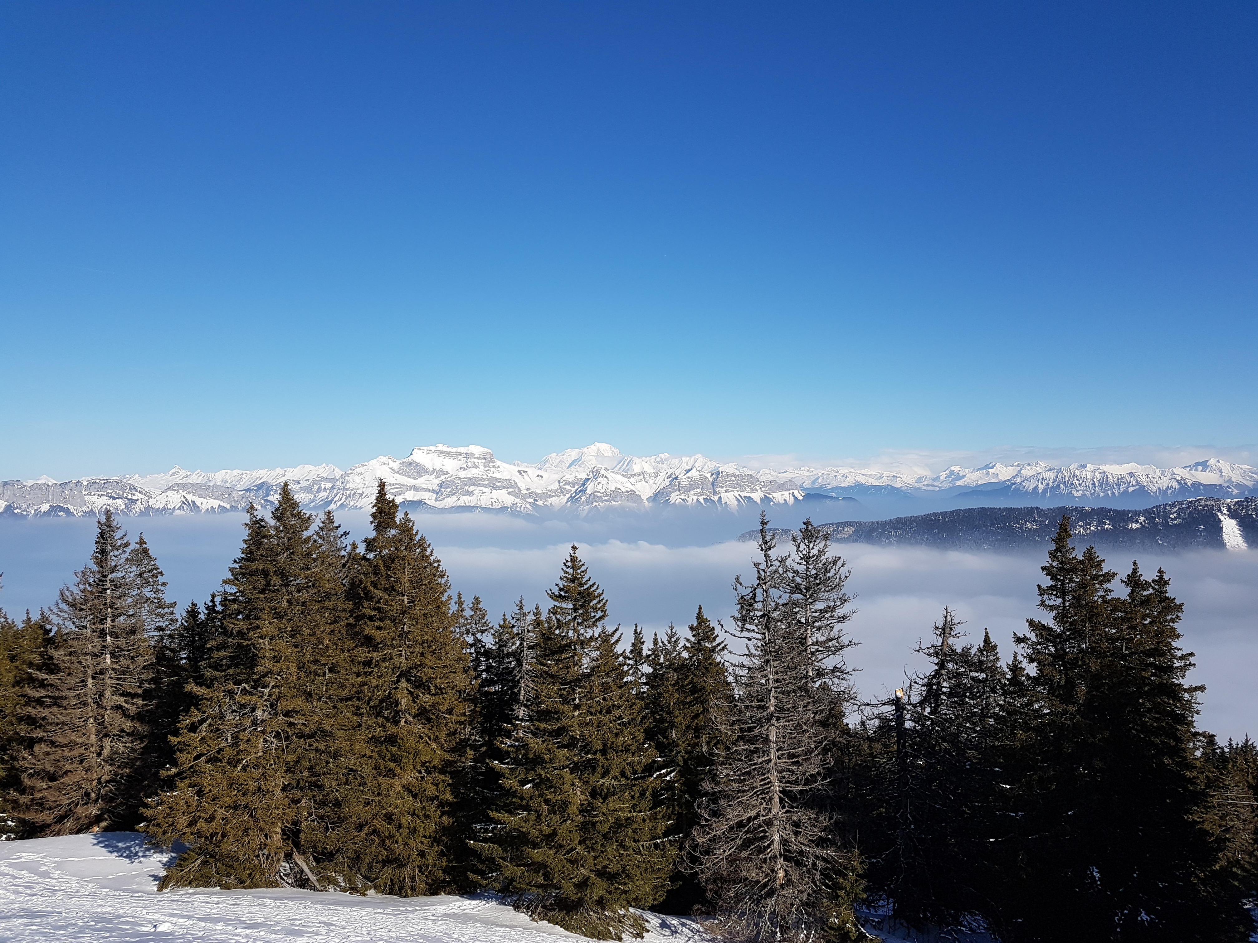 Photo n° 1 de l'avis de Charly. fait le 26/02/2018 à 17:03