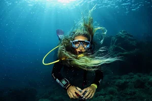 Diving in Elba image