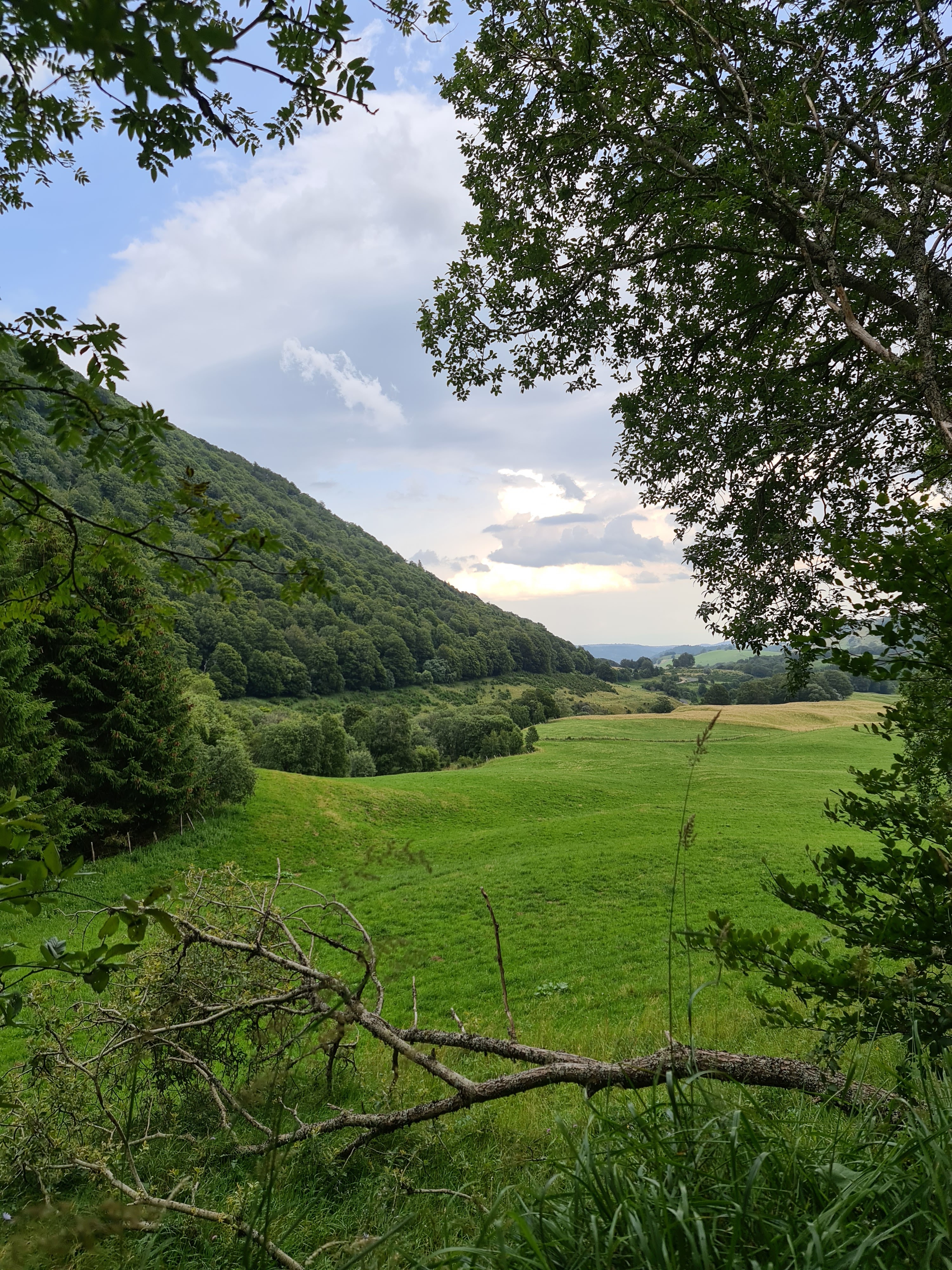 Photo n° 3 de l'avis de julien.n fait le 12/08/2021 à 18:57