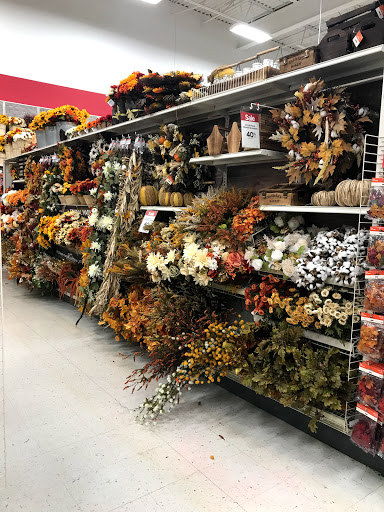 Craft Store «Michaels», reviews and photos, 4255 Pheasant Ridge Dr NE, Blaine, MN 55449, USA