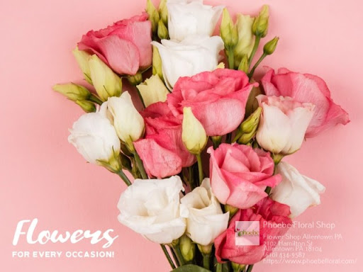 Florist «Phoebe Floral Shop», reviews and photos, 2102 Hamilton St, Allentown, PA 18104, USA