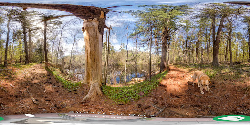 State Park «Bradley Palmer State Park», reviews and photos, 40 Asbury St, Topsfield, MA 01983, USA