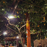 Photo n°2 de l'avis de Danilo.a fait le 30/05/2019 à 07:39 sur le  Da Paolino à Capri