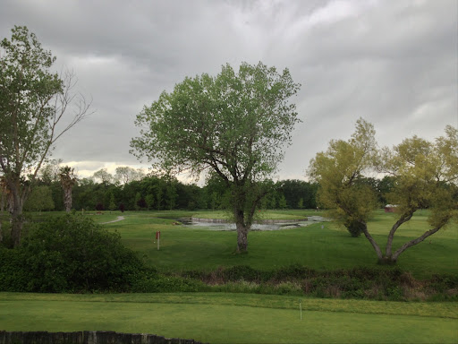 Golf Course «Antelope Greens Golf Course», reviews and photos, 2721 Elverta Rd, Antelope, CA 95843, USA