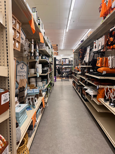 Discount Store «Big Lots», reviews and photos, 2412 S Volusia Ave, Orange City, FL 32763, USA