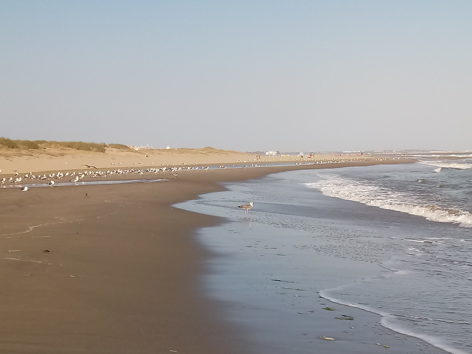 Foto de Playa de San Miguel - lugar popular entre os apreciadores de relaxamento