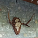 Photo n°21 de l'avis de FELICE.A fait le 29/10/2023 à 10:23 sur le  Albergo Ristorante Gabà à Borno